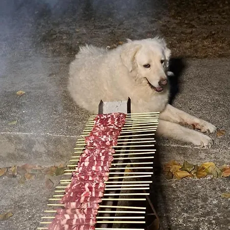 Bed And Bike Pensionat *