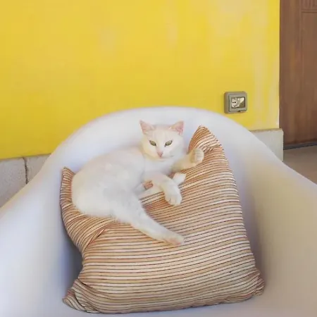 Bed And Bike Pensionat *