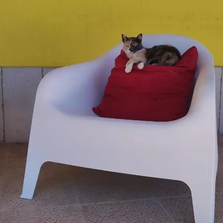 Pensionat Bed And Bike