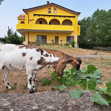 Bed And Bike Gæstehus