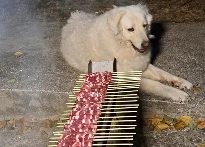 Bed And Bike Pensión *