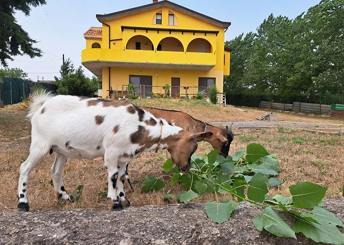 Bed And Bike Gæstehus