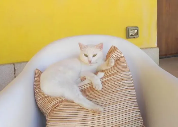 Bed And Bike Pensión *