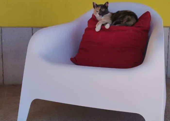 Gæstehus Bed And Bike